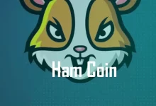 hamster coin geleceÄŸi