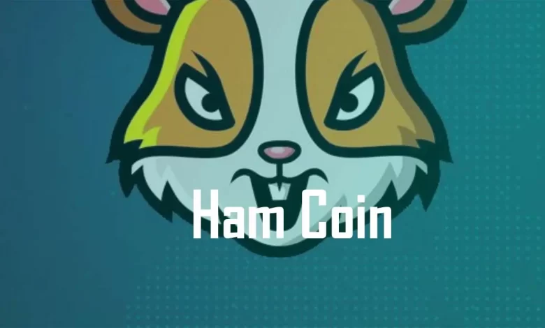 hamster coin geleceği