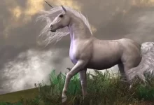tek boynuzlu at unicorn