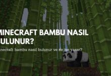 Minecraft Bambu Nasil Bulunur Oyungar
