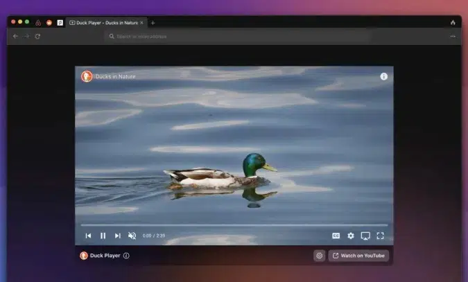 DuckDuckGo Mac beta surumu herkese acildi