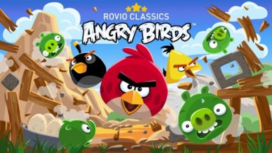 Angry Birds Google Play Storedan cikariliyor