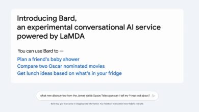 Google Bard adli sohbet robotunu duyurdu