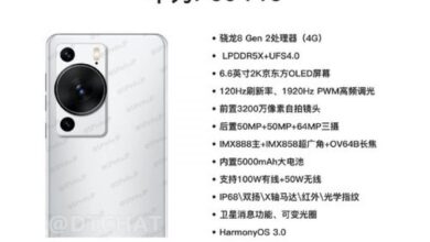 Huawei P60 Pro ile cekilen fotograf paylasildi
